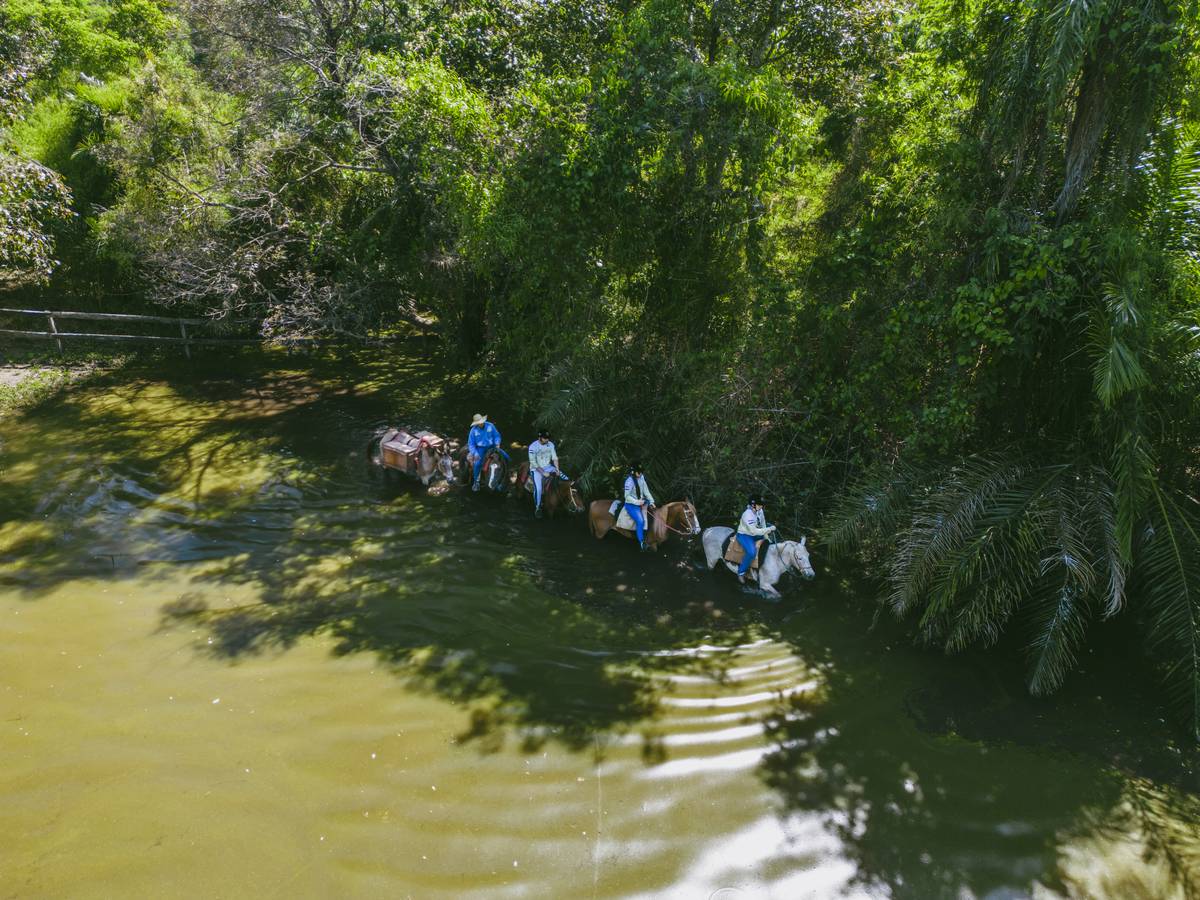 Na estreia de Pantanal em praça, berrante de peão é furtado em comitiva -  Interior - Campo Grande News